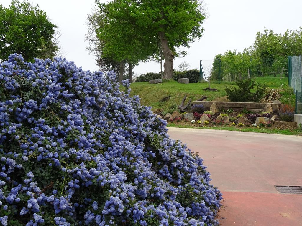 Camping & Bungalows Leagi Mendexa 외부 사진